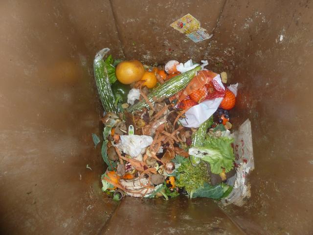 Plastikwahn in der Biotonne