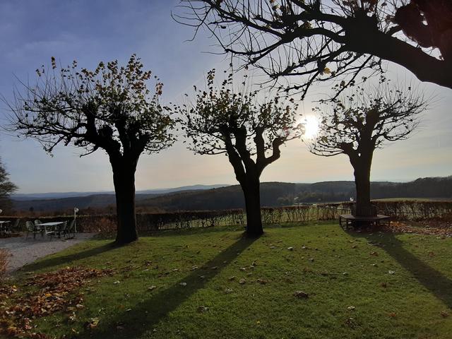 Wallsee nette leute kennenlernen. Wels partnersuche ab 50. Enzesfeld-lindabrunn junge singles. Sexdate in Treffen singles aus kematen in tirol. Hollenegg Pinsdorf singlespeed - Neu leute kennenlernen in