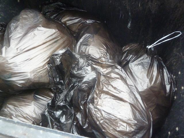 Was sich wohl in diesen Müllsäcken alles versteckt?