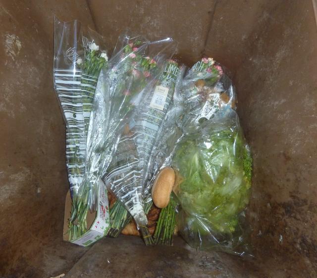 Plastikwahn in de Biotonne