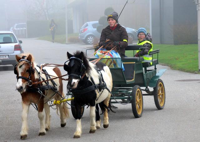 Ponygespann aus Peterskirchen