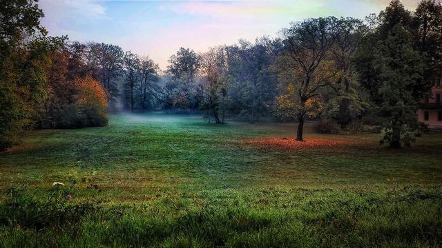 Am Morgen im Park | Foto: Frank Gürtler