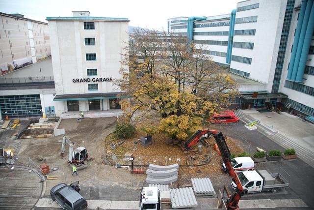 Der Innenhof der Tabakfabrik Linz wird zur Grünoase – bis 2023 sollen auch Fahrzeuge weitestgehend verbannt sein. | Foto: Tabakfabrik Linz