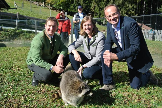 Der "Wilde Berg Mautern" verzeichnete heuer mit 93.000 Gästen einen Besucherrekord. | Foto: Norbert Ortner