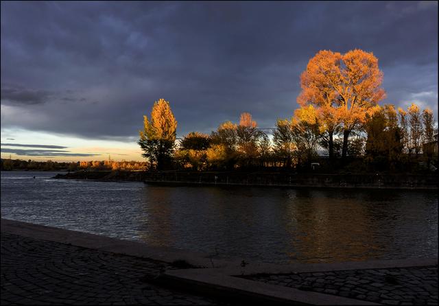 Ich war schon beinahe am Heimweg, als ich mich nochmals umdrehte und sah wie sensationell die Baumkronen plötzlich leuchteten, es war unglaublich, wie sie aus der Dunkelheit des Abends herausleuchteten.