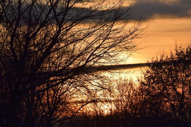 Foto: Sylvia Mittermair