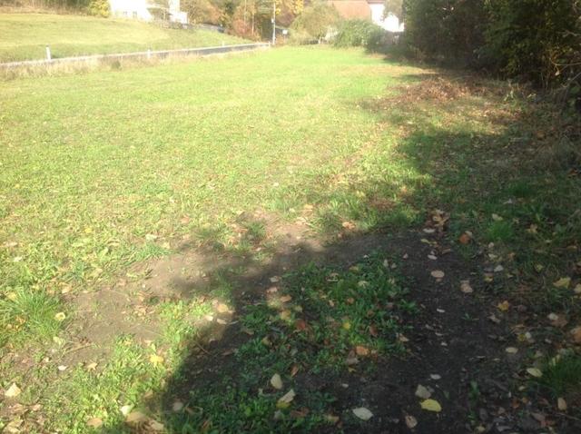 Ihr Baugrund-Eigenheim in Aggsbach-Dorf. | Foto: RE/MAX Plus