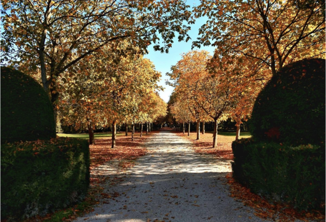 Zauberhafte Herbstszene
 | Foto: Renata Hummer-Fotografie