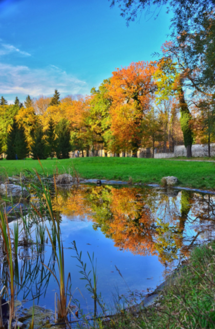 Goldener Herbst im Hellbrunner Park - von Silvia Jörg. | Foto: Silvia Jörg