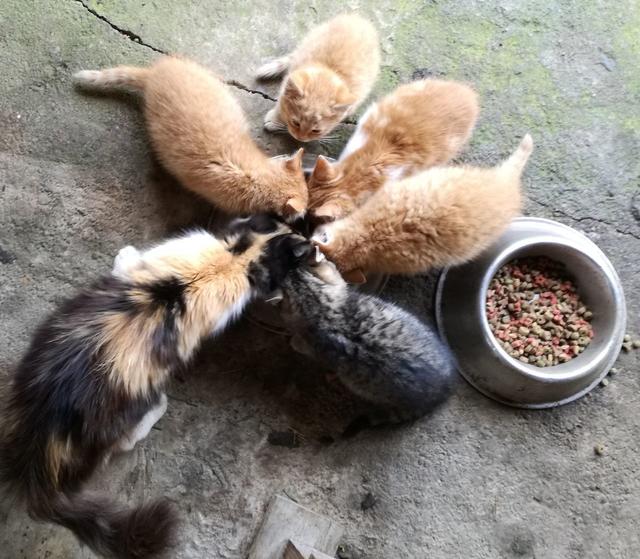 Dinner zu "sechst"*gg* | Foto: Hedy Busch