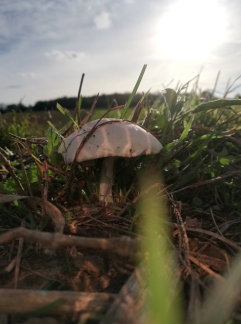 Von oben ganz unauffällig.. | Foto: Viktoria Mayer