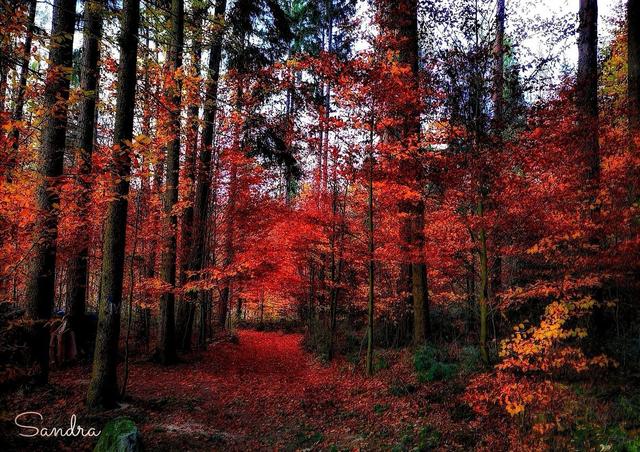 Red Magic Moments | Foto: Sandra Bernhard