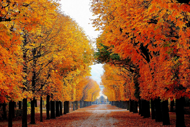 Foto: Gerhard Singer