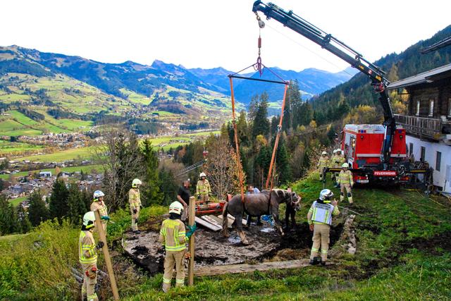 "Betty" konnte aus der Jauchegrube geborgen werden.