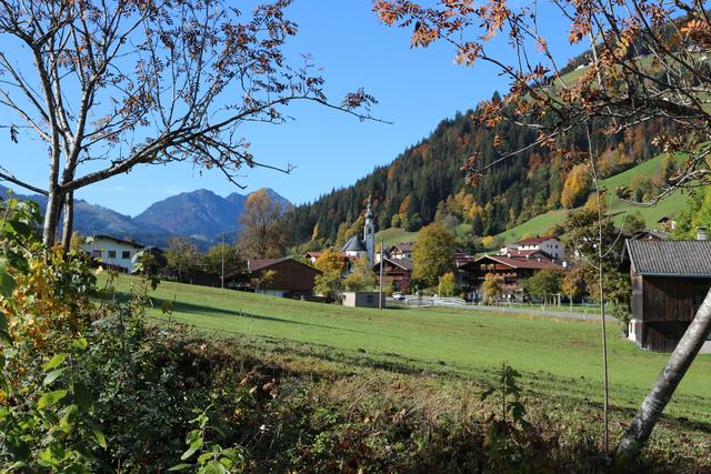 Herbst Wildschönau | Foto: TVB Wildschönau