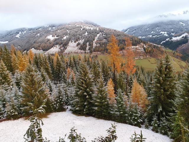 Herbst oder Winter?