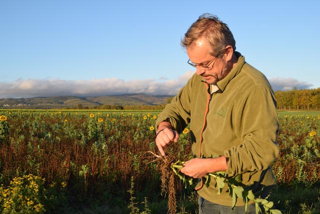 Die Bodenkontrolle gehört zum Bio-Ackerbau dazu.