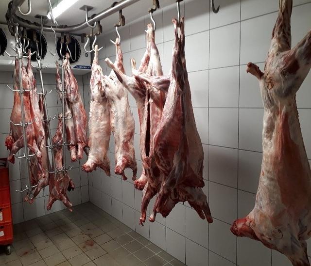Im Schlachthof wurden in der Hochsaison bis zu 30 Tiere pro Woche verarbeitet.