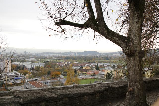 Blick von der Pfarrkirche St. Magdalena über das Biesenfeld.
