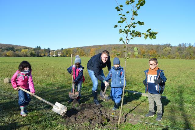 Initiator Matthias Friedrich (SPÖ) mit seinen tatkräftigen Helfern aus der VS Steinlechnergasse. | Foto: Berger