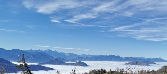 Blick vom Schoberstein | Foto: Nationalpark Apotheke Molln©Felix