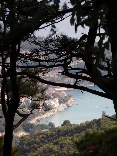 herrlicherAusblick...