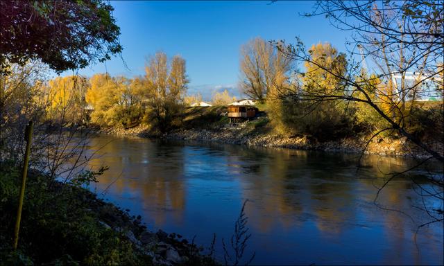 Der Donaukanal vom Nussdorfer Sporn bis zur Ostbahnbrücke in Simmering ist u.a. auch ein beliebtes Fischereirevier in Wien. Die Fischvielfalt umfaßt
Karpfen, Hecht, Wels, Zander, Barbe, Barsch, Nase, Aal, Aitel, Brachse, Laube, Rotauge, Rotfeder, Aalrutte, Schleie, Schied, diverse Weißfischarten. Vereinzelt entdeckt man noch die liebevoll errichteten Fischerhütten, die eine Idylle für sich bieten.