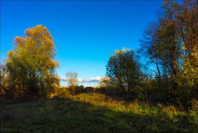 Zwischen Albern und Donaukanal Neu Albern Simmering
