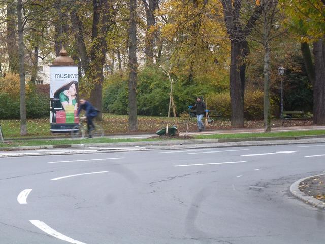 Einige Stunden früher, wäre nicht nur der Baum gelegen...