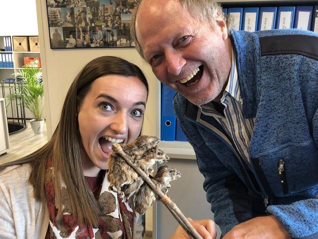 Mäuse-Spieß gefällig? Mmmh, lecker ... Bezirksblätter-Kreativassistentin Theresa Högler durfte mal kosten. In Afrika steht das tatsächlich häufig am Menüplan. | Foto: Bezirksblätter