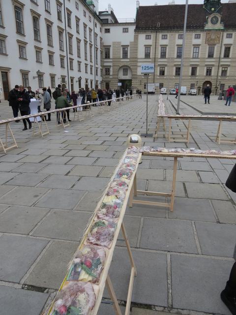 250 Meter und 50 Zentimeter betrug die lange Brettljause im Inneren Burghof der Wiener Hofburg.