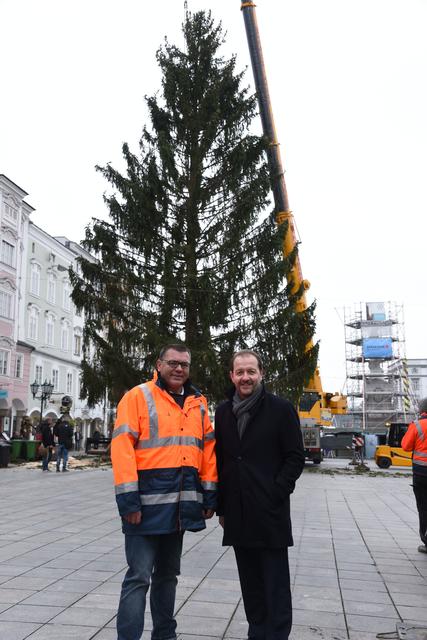 Vbgm und Marktreferent Bernhard Baier und Werner Eibensteiner (Leiter Bauhof Freistadt) vor dem Christbaum. | Foto: Stadt Linz