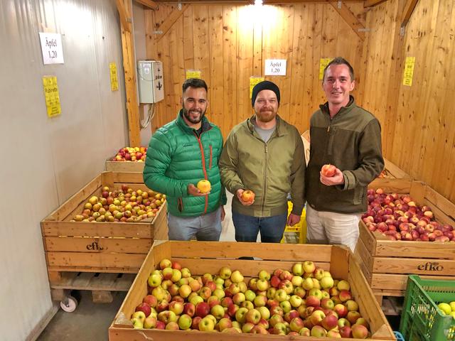 Markus Maringer, Sebastian Auinger und Thomas Wahl (von links). | Foto: VP Ennsdorf