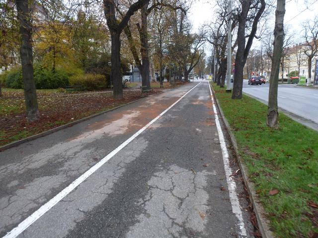 Zum Glück "blutete" nur das Kfz, am Geh- und Radweg aus...