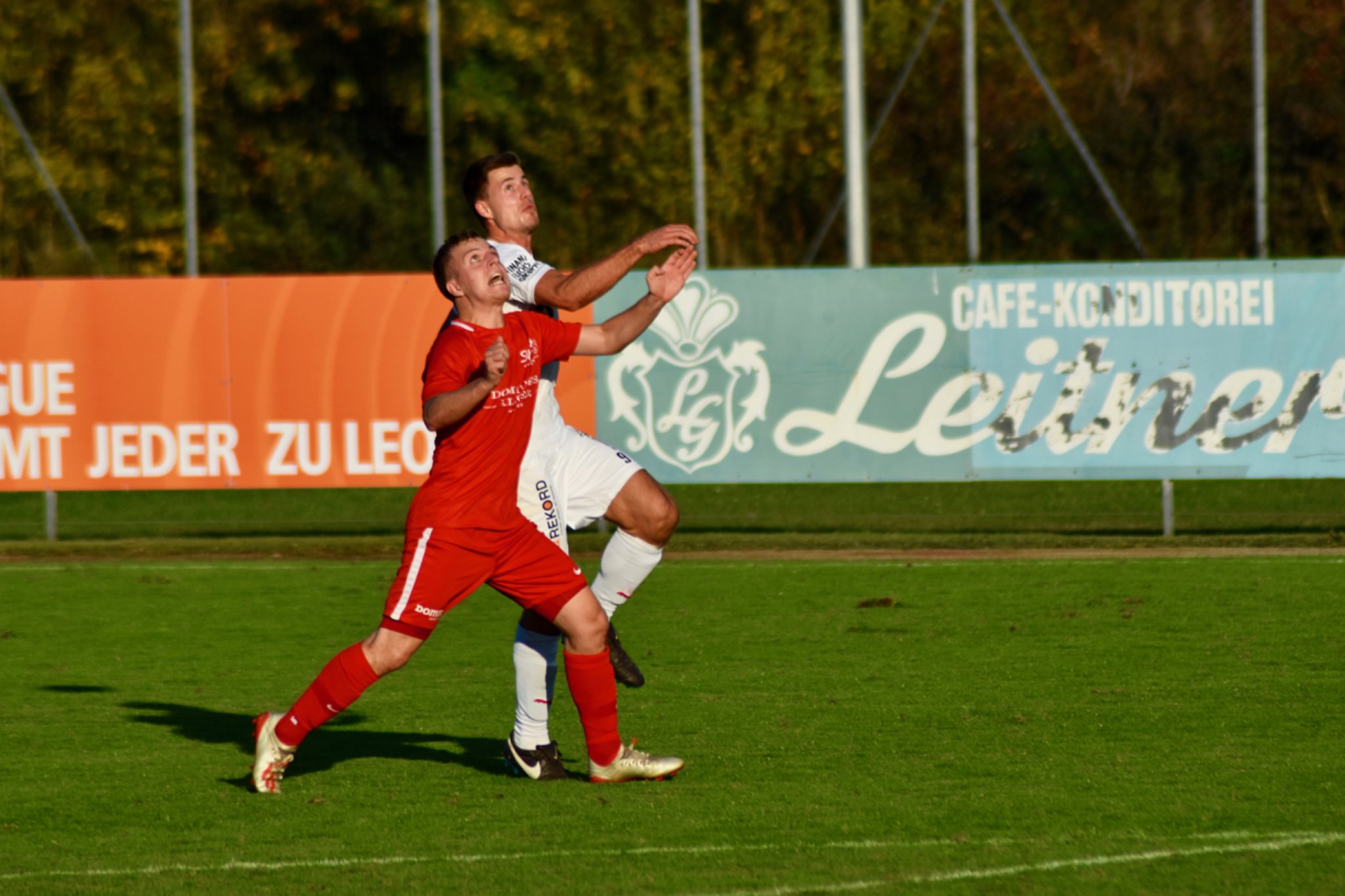 Handspiel LГ¶w Handspiel LГ¶w
