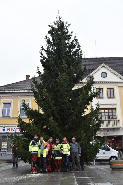 Jährliches Ritual: Das Aufstellen des Christbaumes am unteren Hauptplatz | Foto: Anna Salzmann