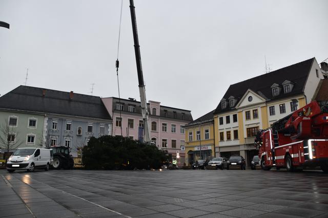 Jährliches Ritual: Das Aufstellen des Christbaumes am unteren Hauptplatz | Foto: Anna Salzmann