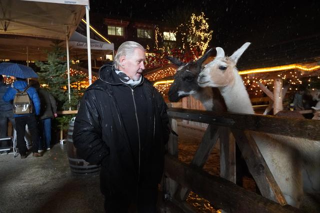 Schauspieler Johnny Logan hatten es die Lamas angetan. | Foto: Gertraud Kleemayr