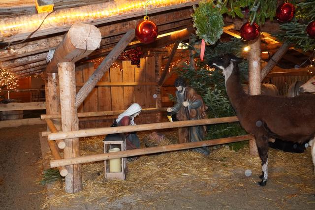 Foto: Gertraud Kleemayr