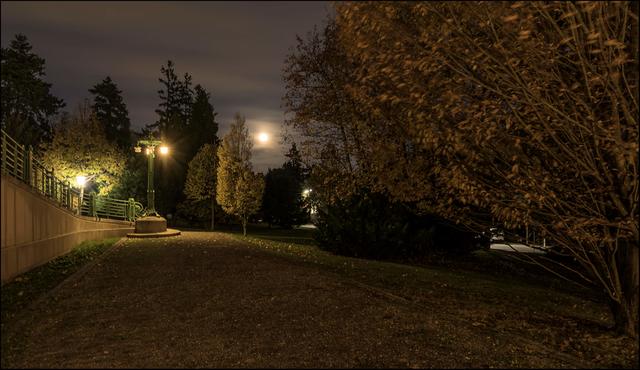 Die kleine Promenade am Fusse des Am-Steinhof-Theaters, für welches offenbar nach wie vor noch keine Sanierung erfolgte, da die Eingänge immer noch mit Baustellengitter umgeben sind. | Foto: ©Sylvia S.,  Aus meiner Reihe "Wien bei Nacht"