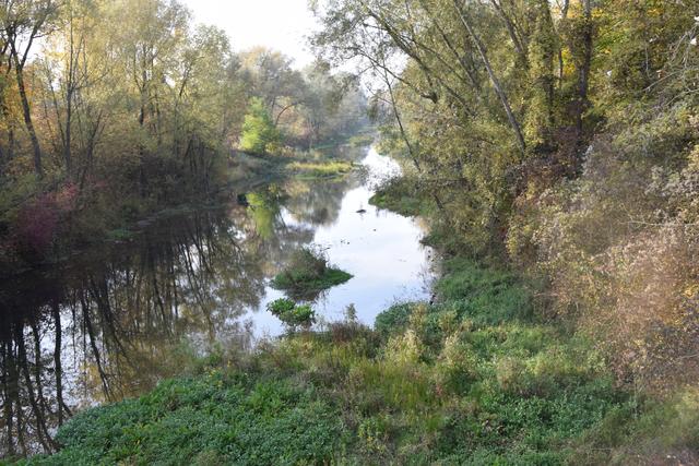 Die Donauauen in Feldkirchen werden Natura-2000-Gebiet.