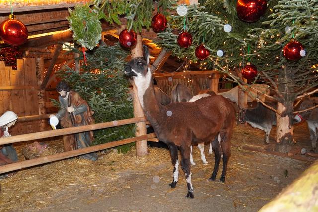 Foto: Gertraud Kleemayr