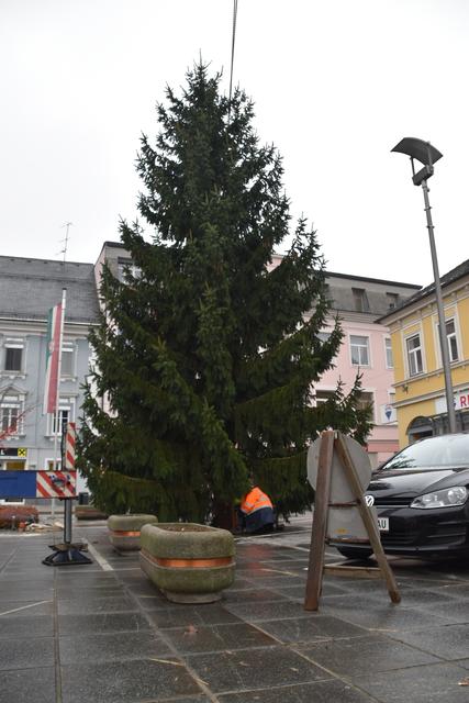 Jährliches Ritual: Das Aufstellen des Christbaumes am unteren Hauptplatz | Foto: Anna Salzmann