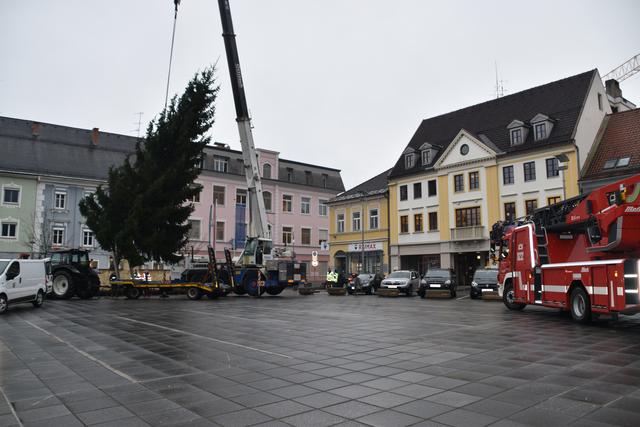 Jährliches Ritual: Das Aufstellen des Christbaumes am unteren Hauptplatz | Foto: Anna Salzmann
