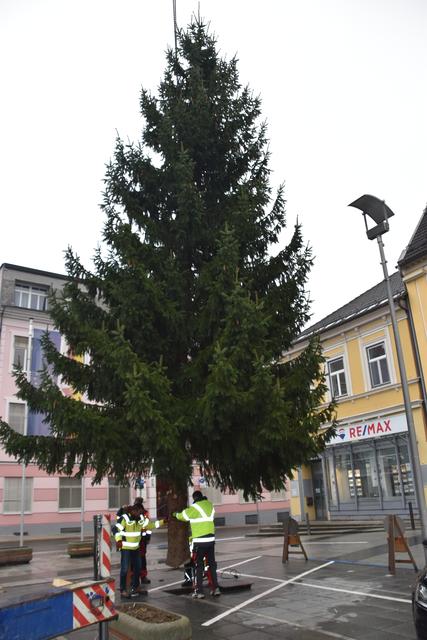 Jährliches Ritual: Das Aufstellen des Christbaumes am unteren Hauptplatz | Foto: Anna Salzmann