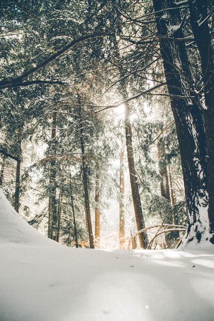Schicke uns dein schönstes Winterfoto