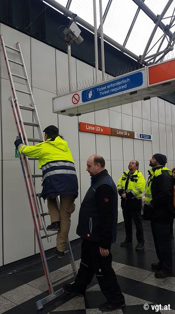 Nach kurzer Unterredung mit der Feuerwehr bestiegen die Wiener-Linien-Mitarbeiter die Leiter zur Taubenrettung selbst.
