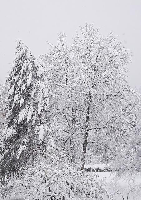 Im Gailtal ist der Winter da – mit allem, was dazu gehört.
