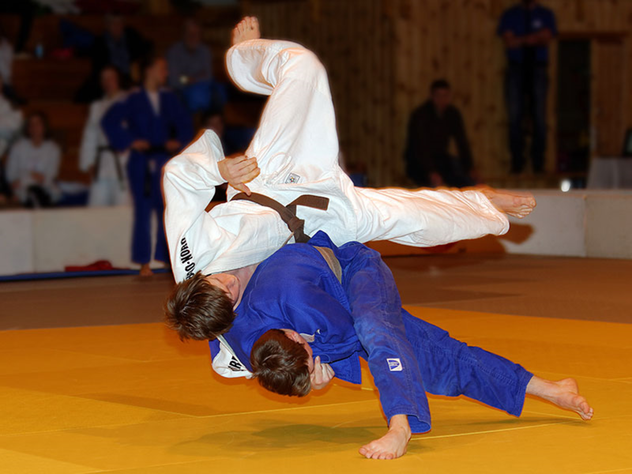 Judo: 45. internationale Bodenseemeisterschaft - Bregenz - meinbezirk.at