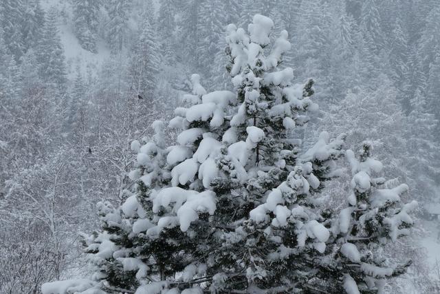 Der plötzliche Wintereinbruch führt in Oberkärnten dazu, dass Schulen heute geschlossen bleiben. | Foto: Mader